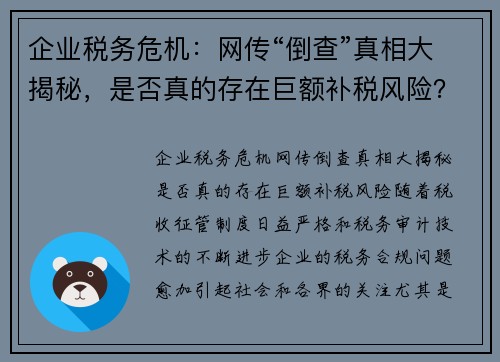 企业税务危机：网传“倒查”真相大揭秘，是否真的存在巨额补税风险？